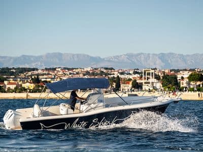 Interijer White Shark 265 — Zadar