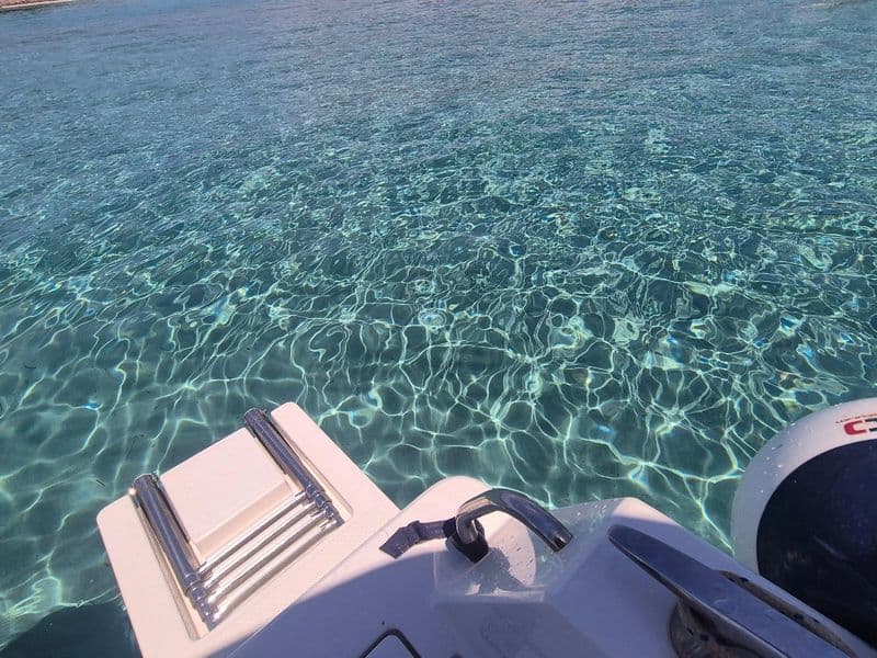 Wild Rabbit Island Boat Trip & Snorkeling