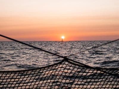 Atardecer en catamarán en la bahía de Cádiz