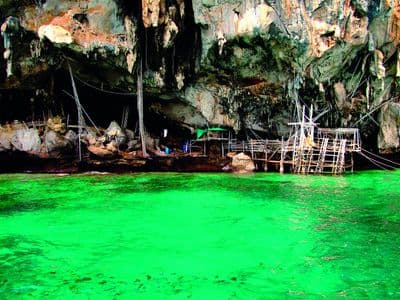 Phi Phi Islands longtail and speedboat tour from Phuket