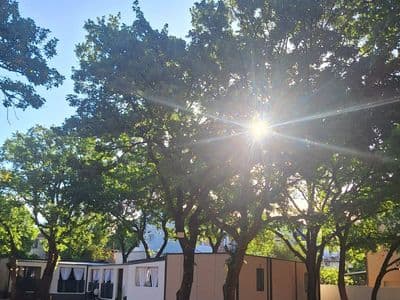 Autocamp Ivona, Vodice – parcele u hladu hrastova