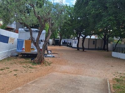 Autocamp Ivona, Vodice – parcele u hladu hrastova
