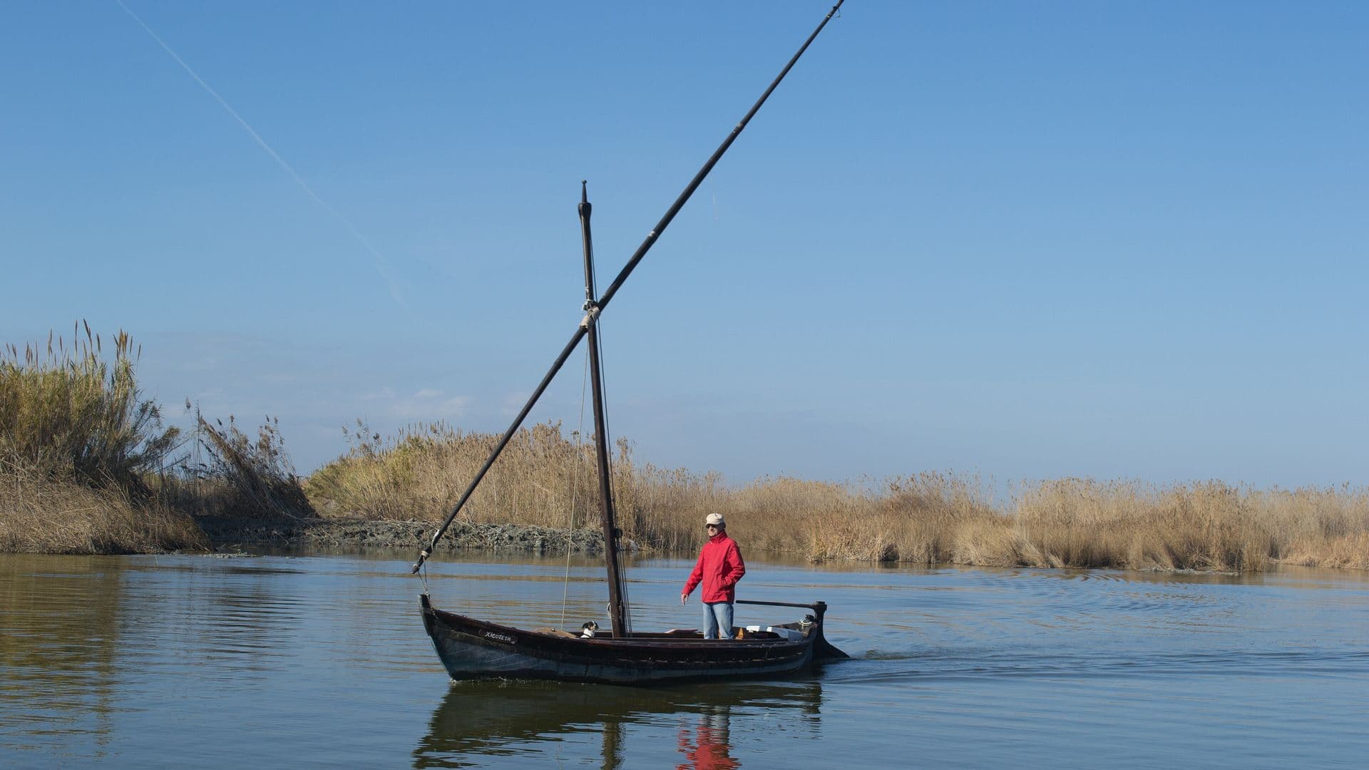 Traditional lateen-sail boat on the Albufera lagoon near Valencia, with reed beds behind