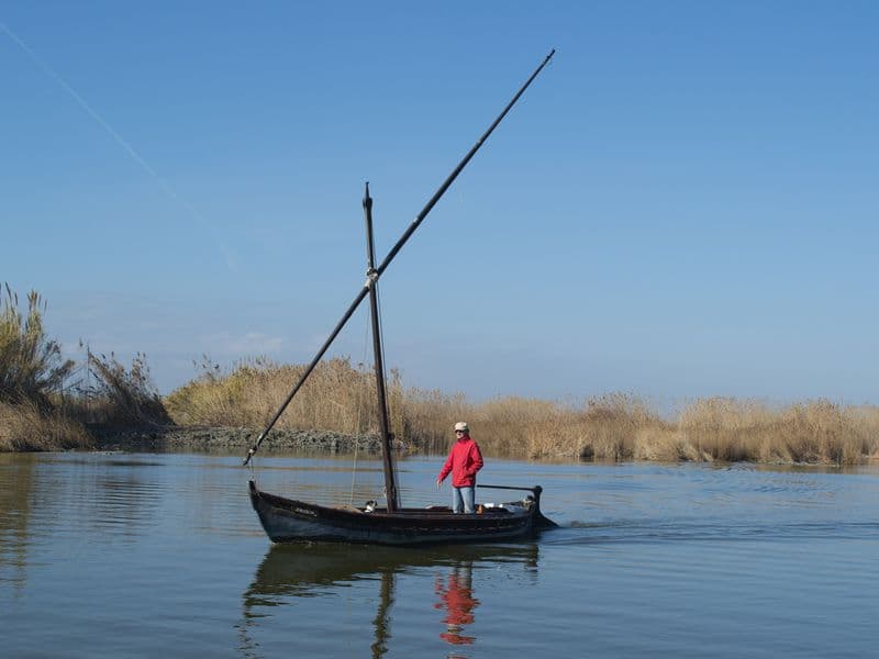 Traditional lateen-sail boat on the Albufera lagoon near Valencia, with reed beds behind
