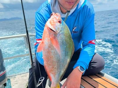 Andaman Connection fishing charter, Krabi