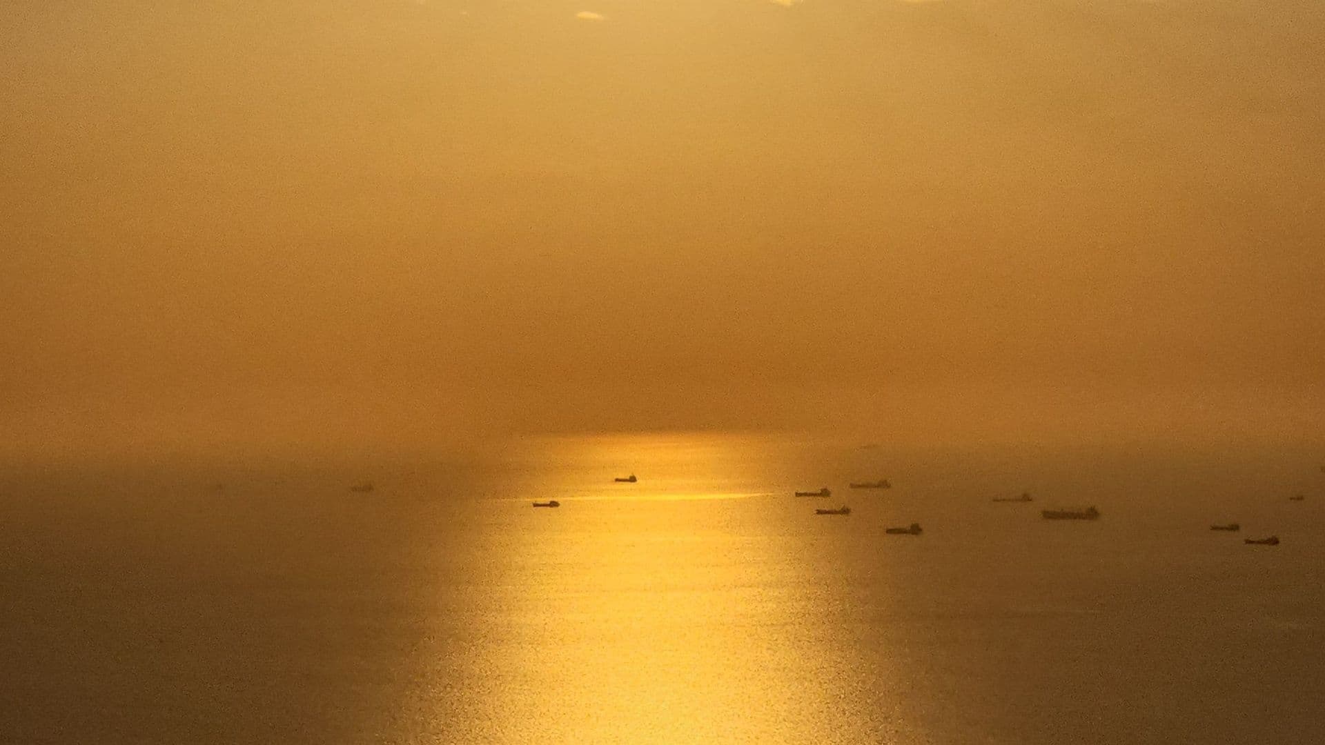 Golden sunset over calm bay with boats