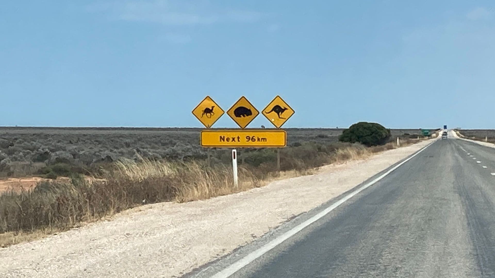 Eyre Highway across the Nullarbor Plain near Nullarbor Roadhouse, with a camel, wombat and kangaroo warning sign for the next 96 km