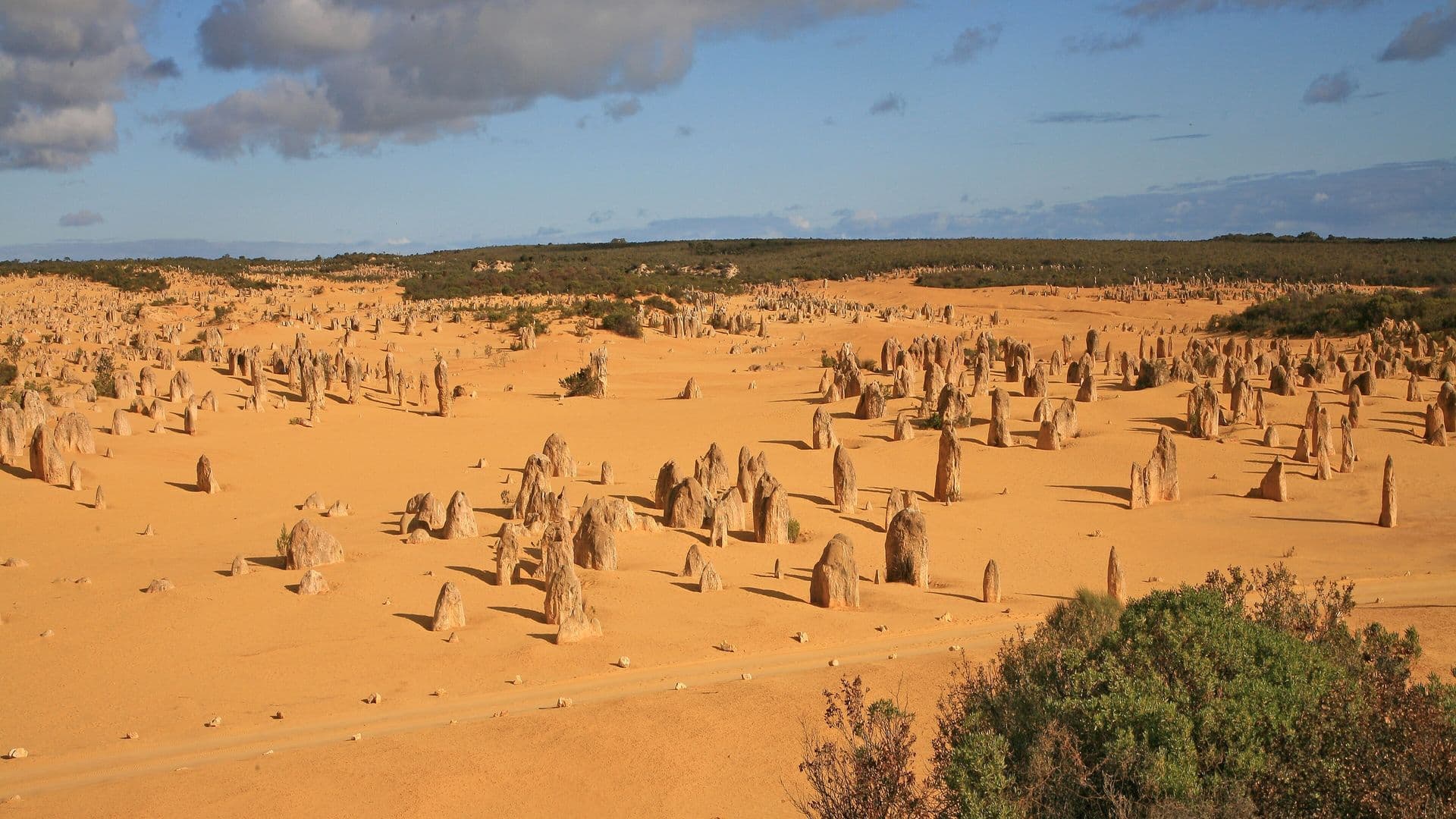 The Pinnacles desert in Nambung National Park, two hours north of Perth, Western Australia