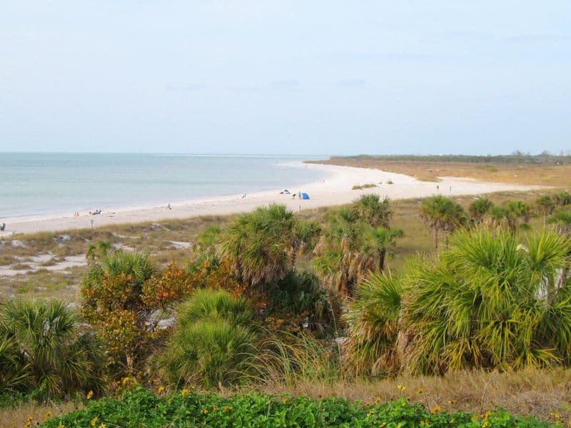Beach and palms at Fort De Soto Park on the Gulf coast near St. Petersburg, Florida