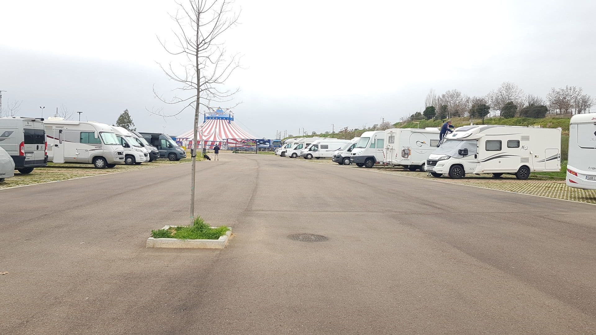 Motorhomes parked in a row at the área de autocaravanas in Mérida, Spain