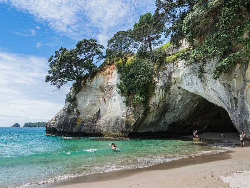 Cathedral Cove on the Coromandel Peninsula, New Zealand: a white rock arch with pohutukawa trees above a sandy beach