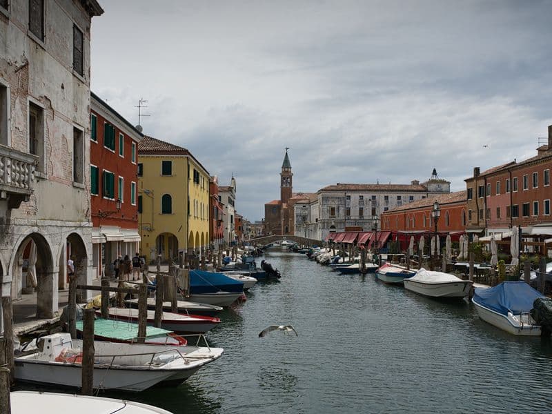 chioggia