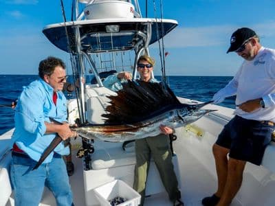 Ulovljena sabljarka (sailfish) na izletu s Compass Rose u Key Westu