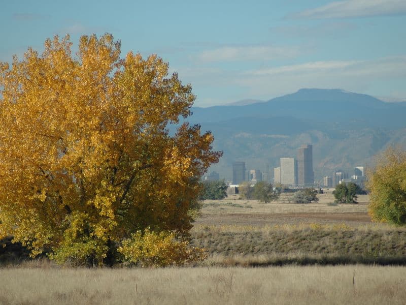 Denver skyline with the Rocky Mountains in the background