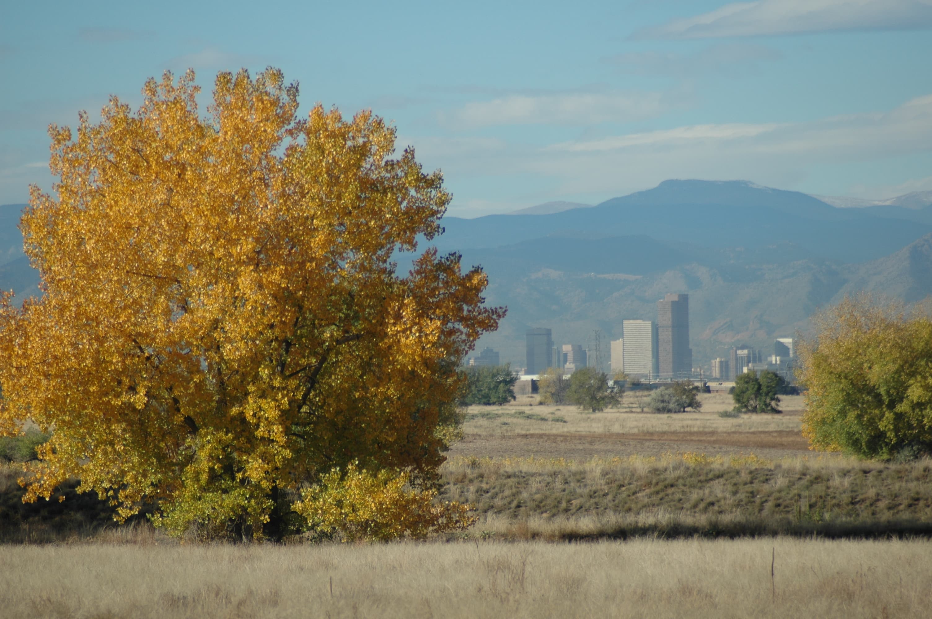 Denver skyline with the Rocky Mountains in the background