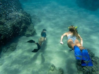 Snorkeling during the F40 catamaran trip, Lanzarote