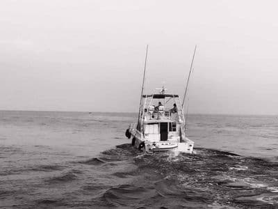 Fisherman 44 - Crystalium Booker Napoli