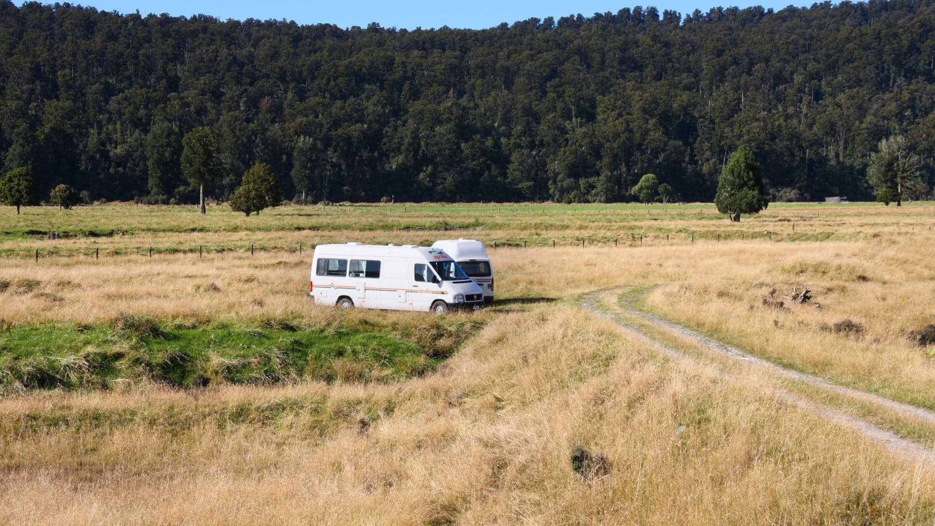 Campervan parked on a grassy freedom camping spot on New Zealand's West Coast, with native forest behind