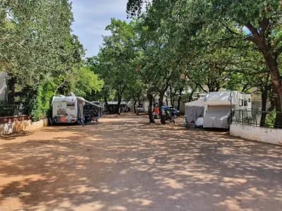 Autocamp Ivona, Vodice – parcele u hladu hrastova