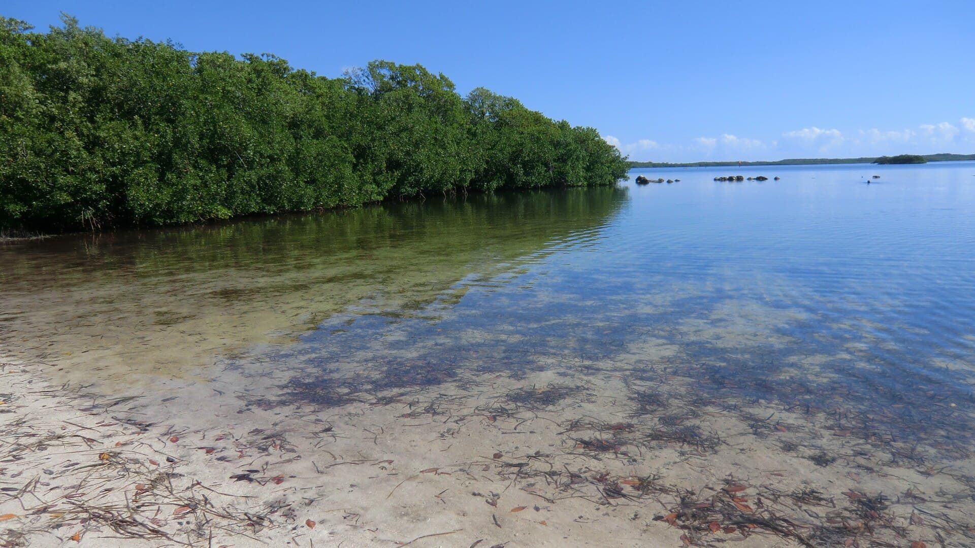key-largo