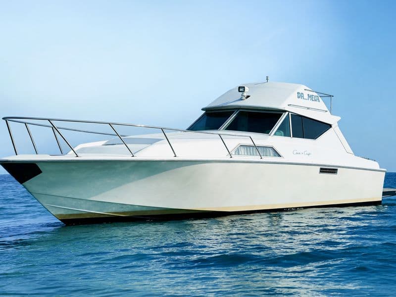 Da...Mela — Chris Craft 37 Corvette