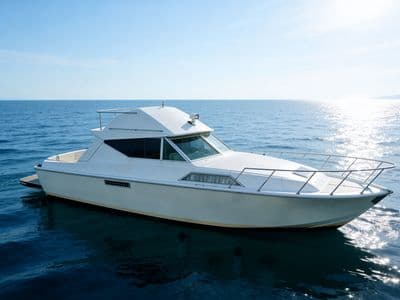 Da...Mela (Chris Craft 37 Corvette) — Boat and Holiday, Fano