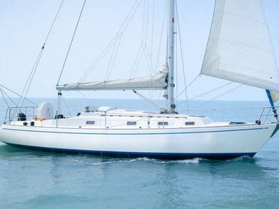 Da...Michi (Alpha 11,50) — Boat and Holiday, Fano