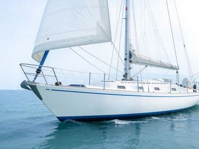 Da...Michi (Alpha 11,50) — underway