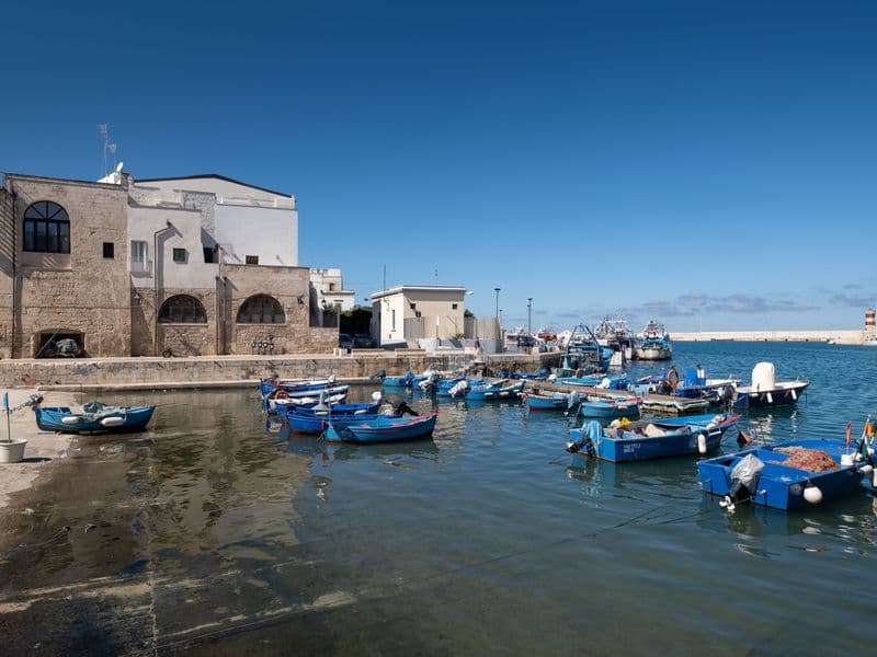 monopoli