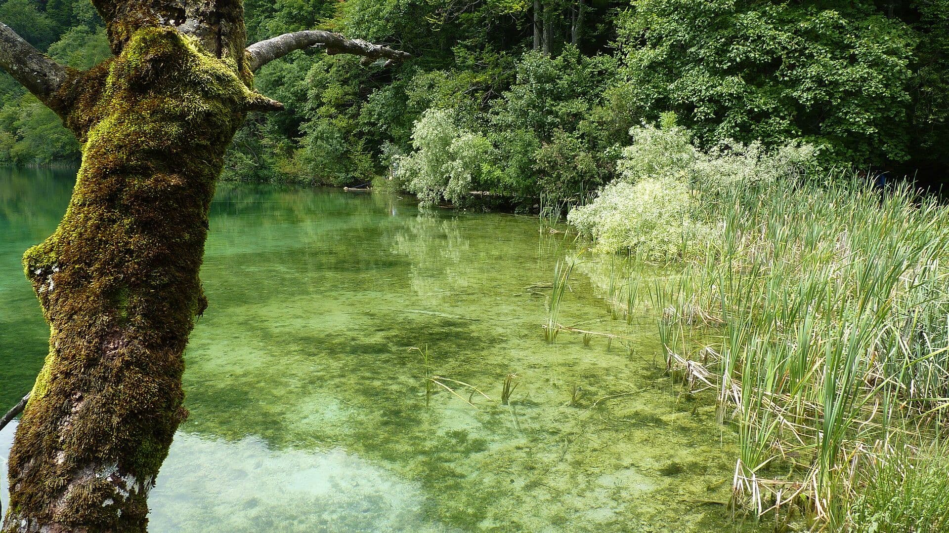 Galovac lake and waterfalls in Plitvice Lakes National Park, Croatia