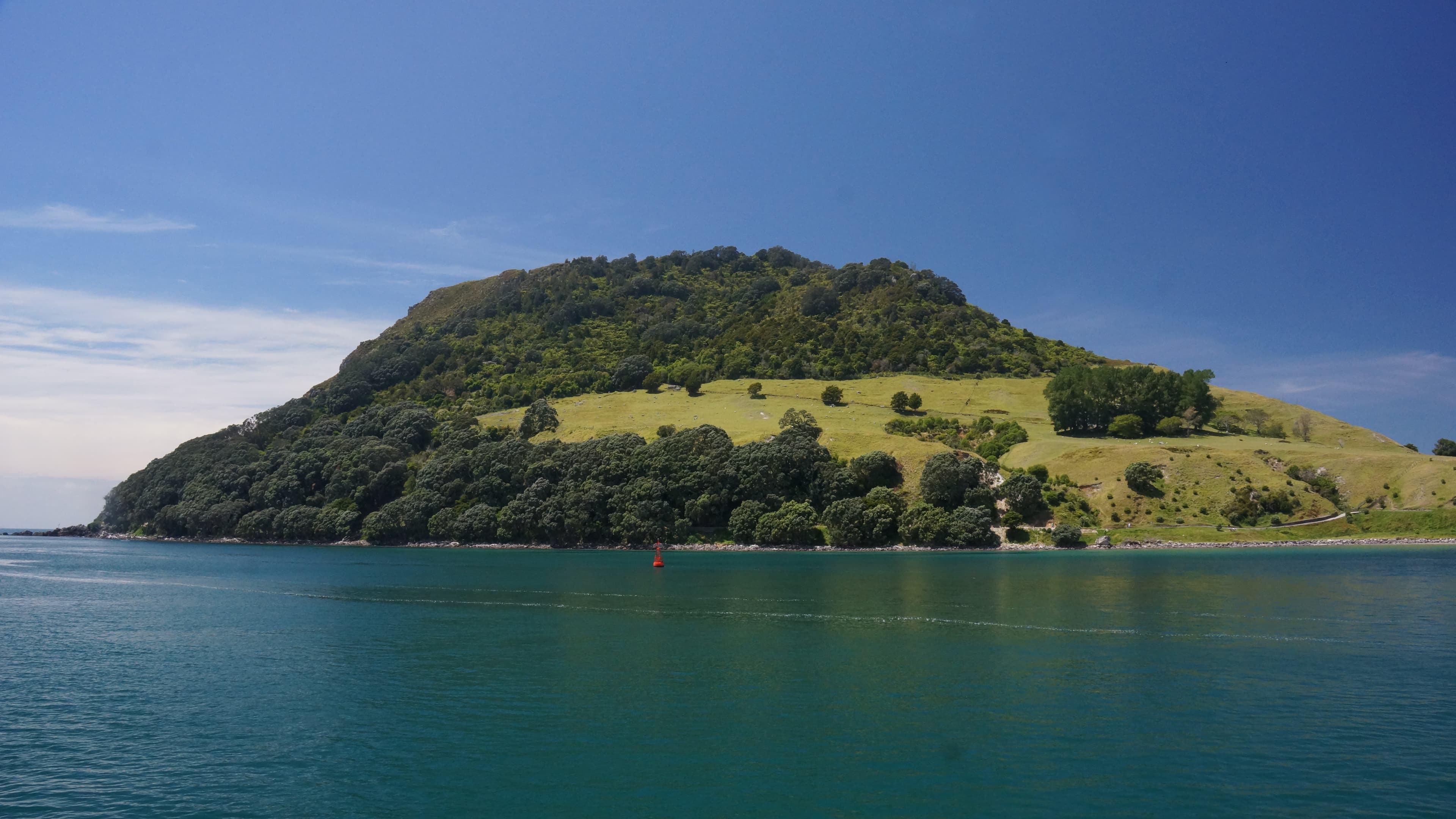 tauranga