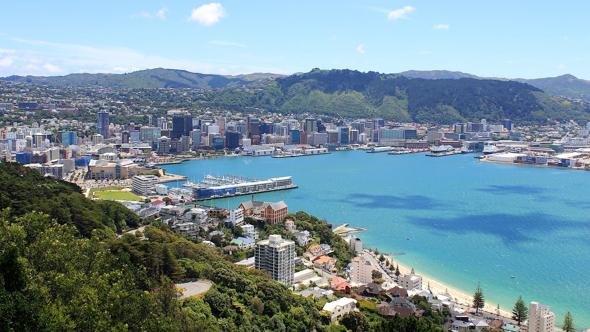 Wellington city centre, the harbour and Oriental Bay seen from the Mount Victoria lookout, New Zealand