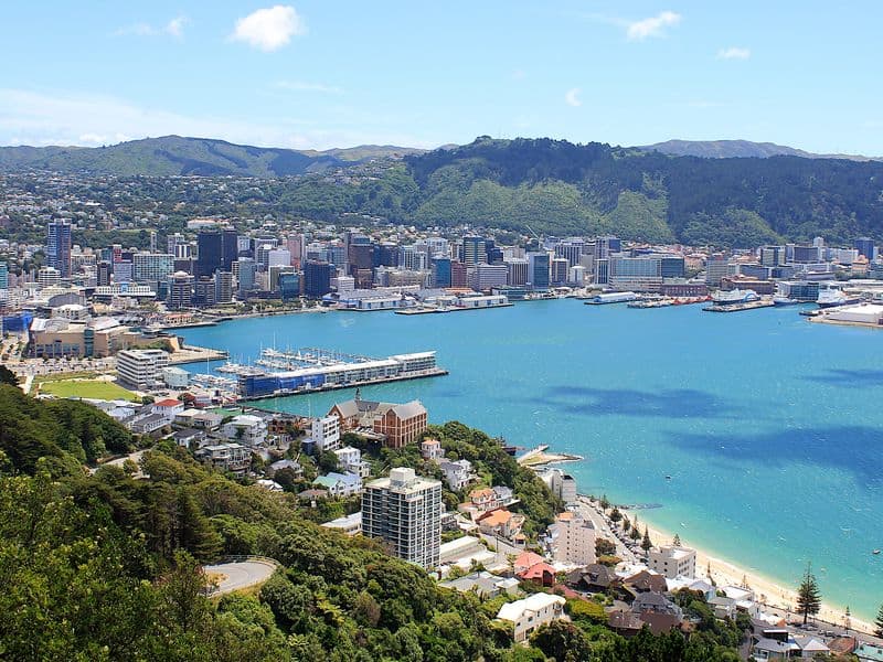 Wellington city centre, the harbour and Oriental Bay seen from the Mount Victoria lookout, New Zealand
