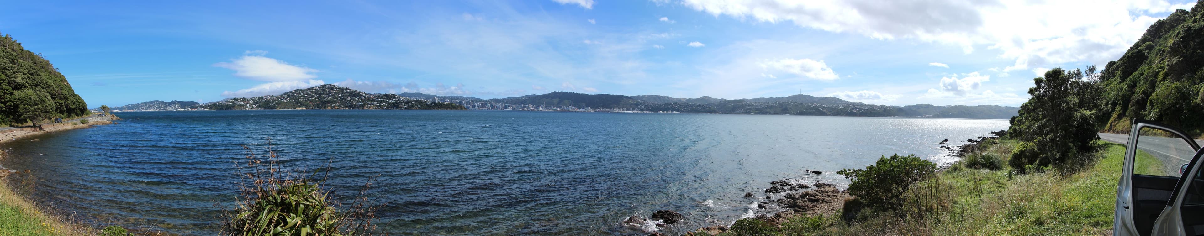 wellington