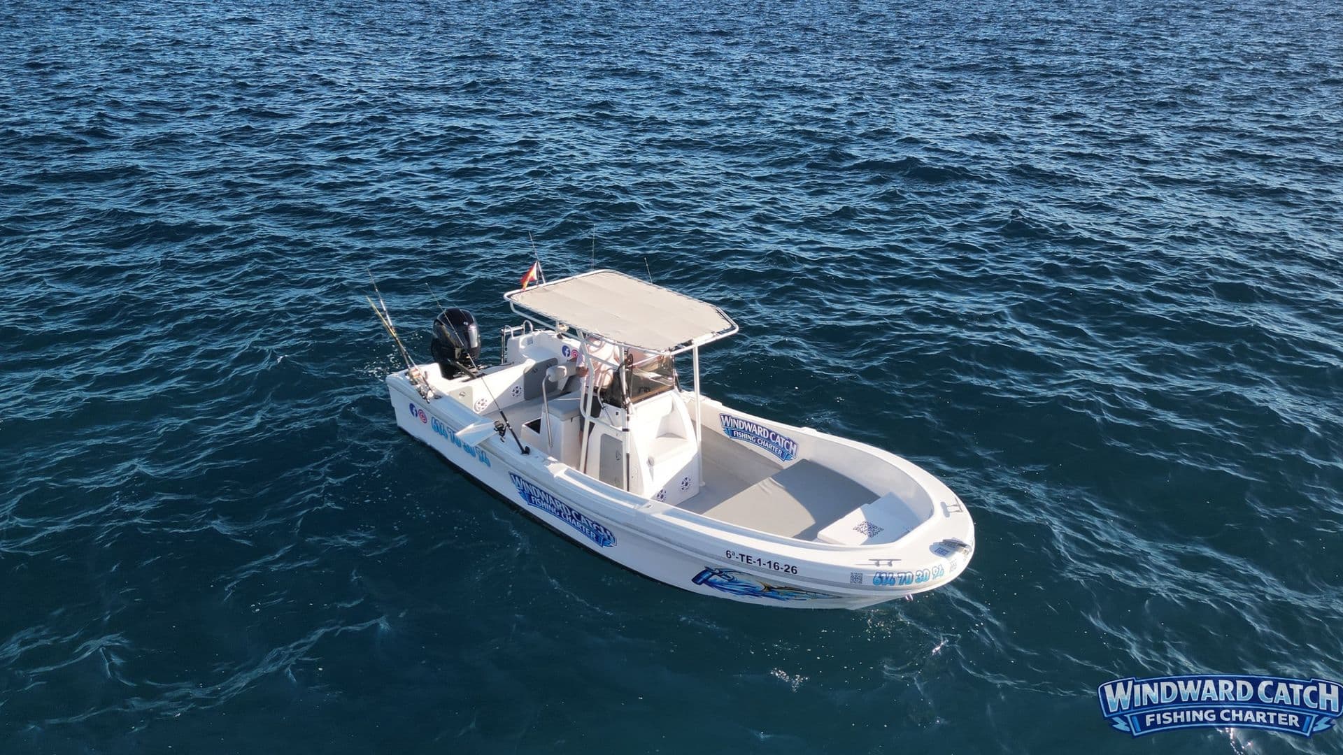 Windward Catch boat from above, Los Cristianos, Tenerife