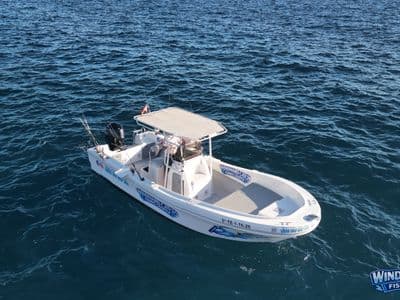 Windward Catch boat from above, Los Cristianos, Tenerife