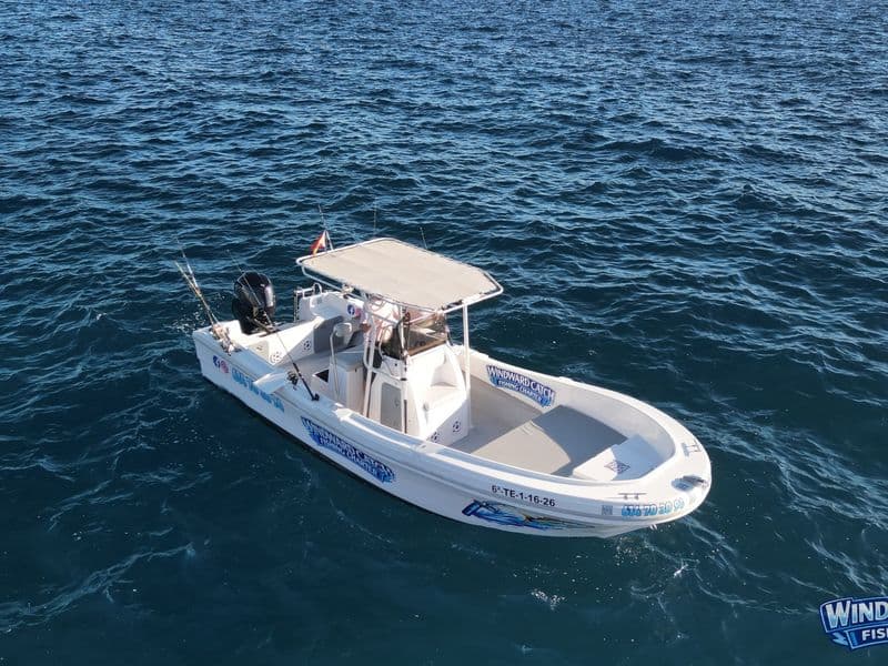 Windward Catch boat from above, Los Cristianos, Tenerife