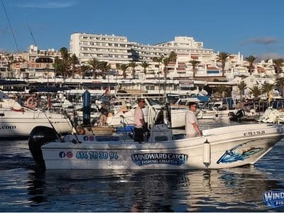 Windward Catch in Los Cristianos harbour