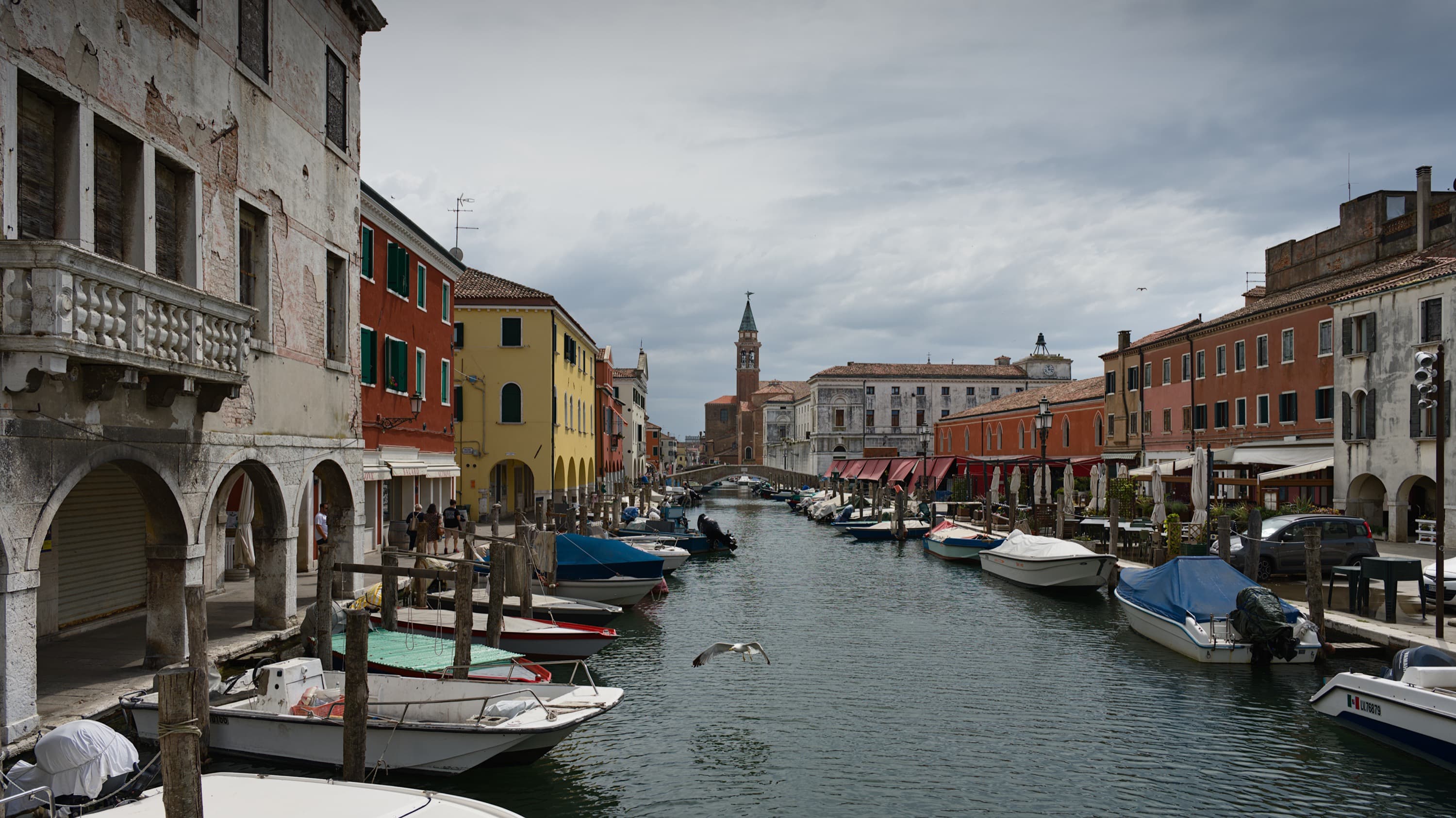 chioggia
