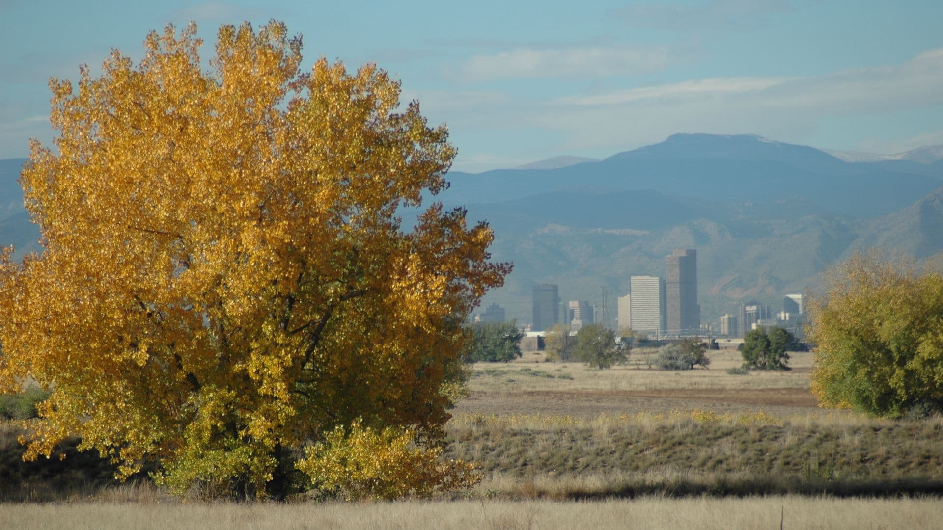 Denver skyline with the Rocky Mountains in the background