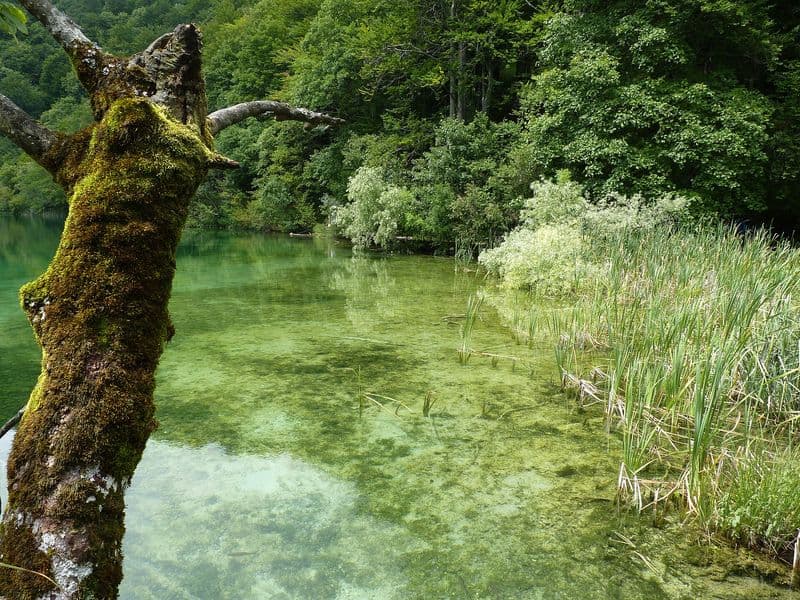 Galovac lake and waterfalls in Plitvice Lakes National Park, Croatia